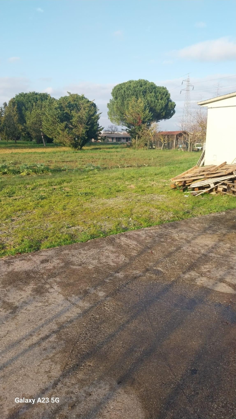 immagine annuncio 7 di 9