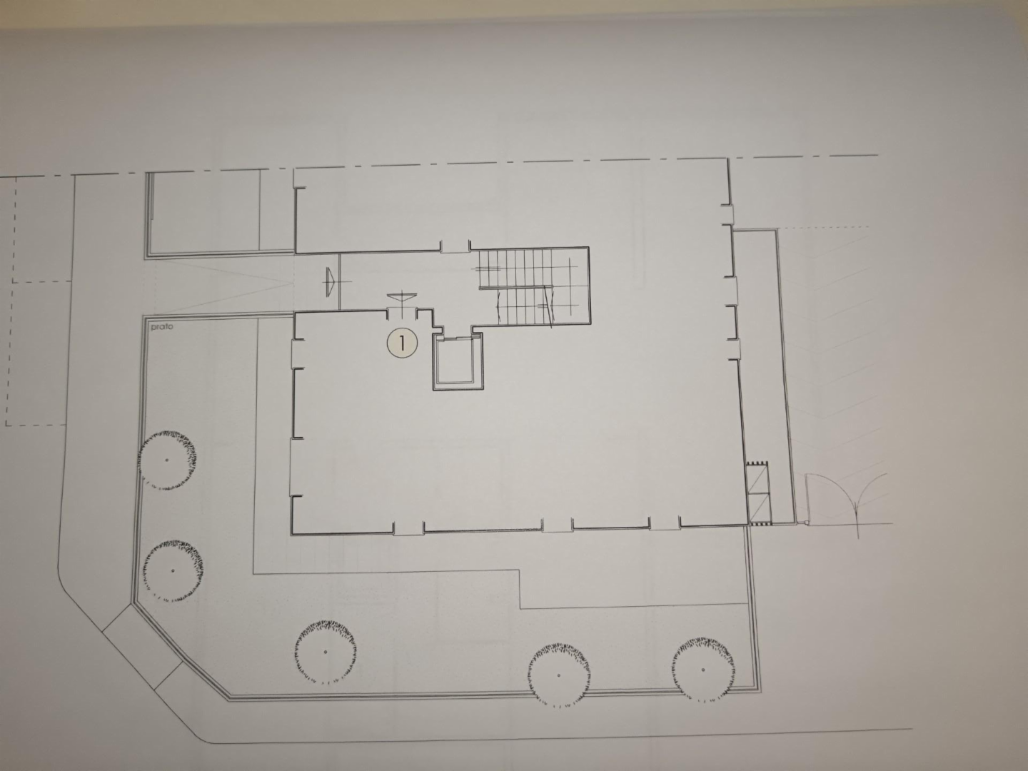 immagine annuncio 3 di 6