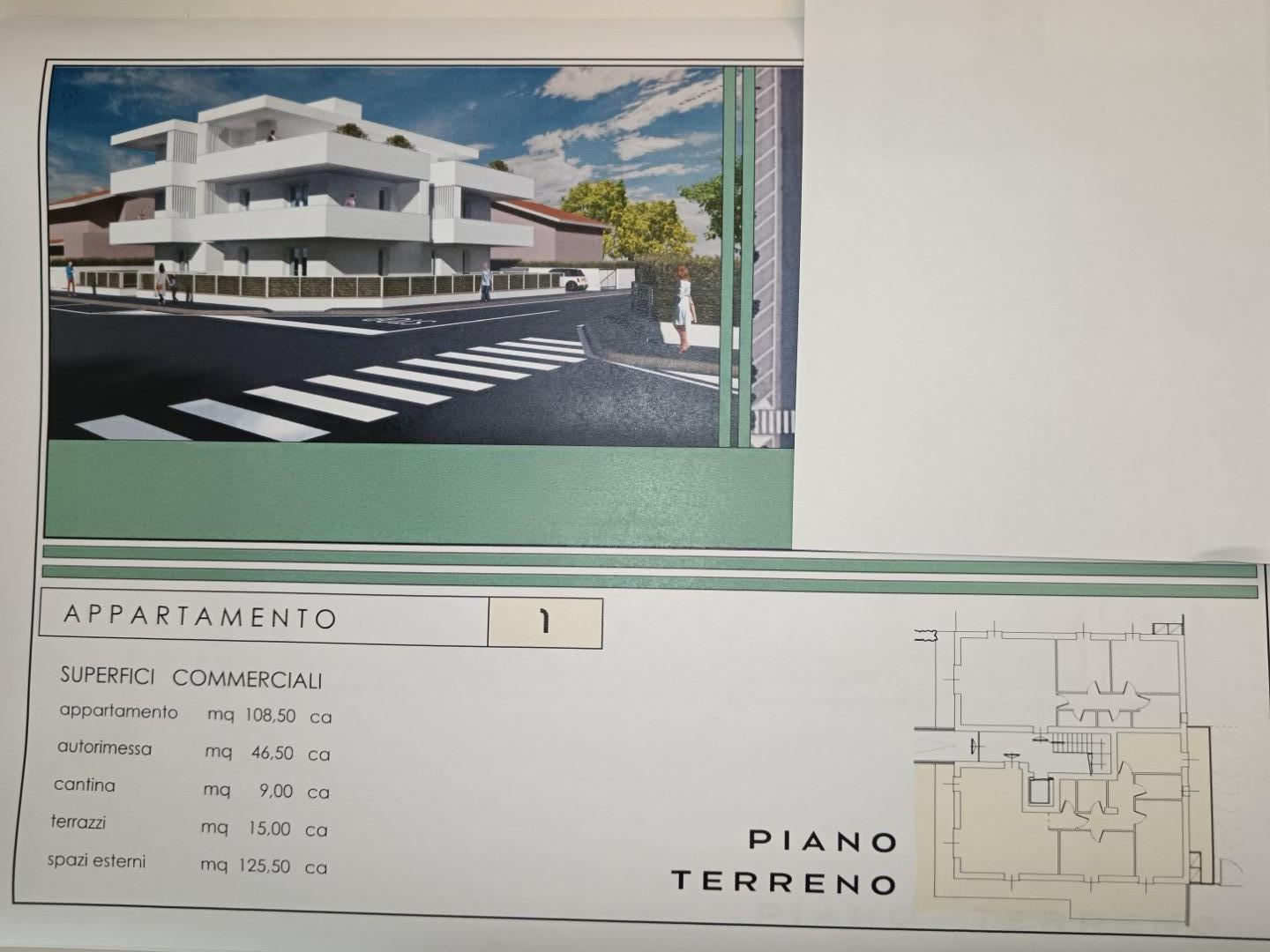 immagine annuncio 5 di 6