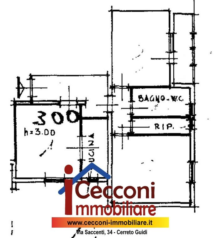 immagine annuncio 1 di 10