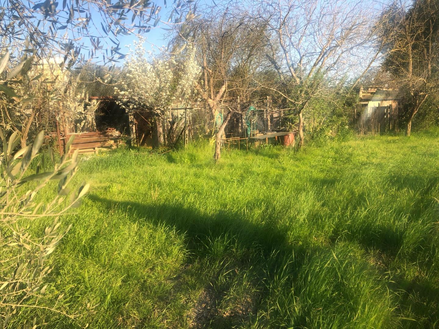 terreno agricolo in vendita a Pontedera in zona Santa Lucia