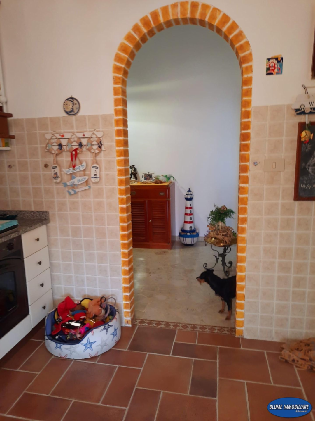 immagine annuncio 8 di 10