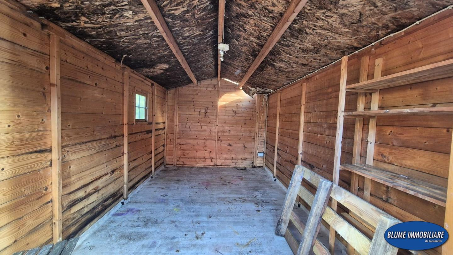 immagine annuncio 5 di 10