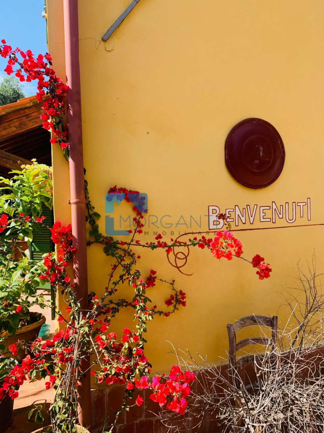 immagine annuncio 3 di 10