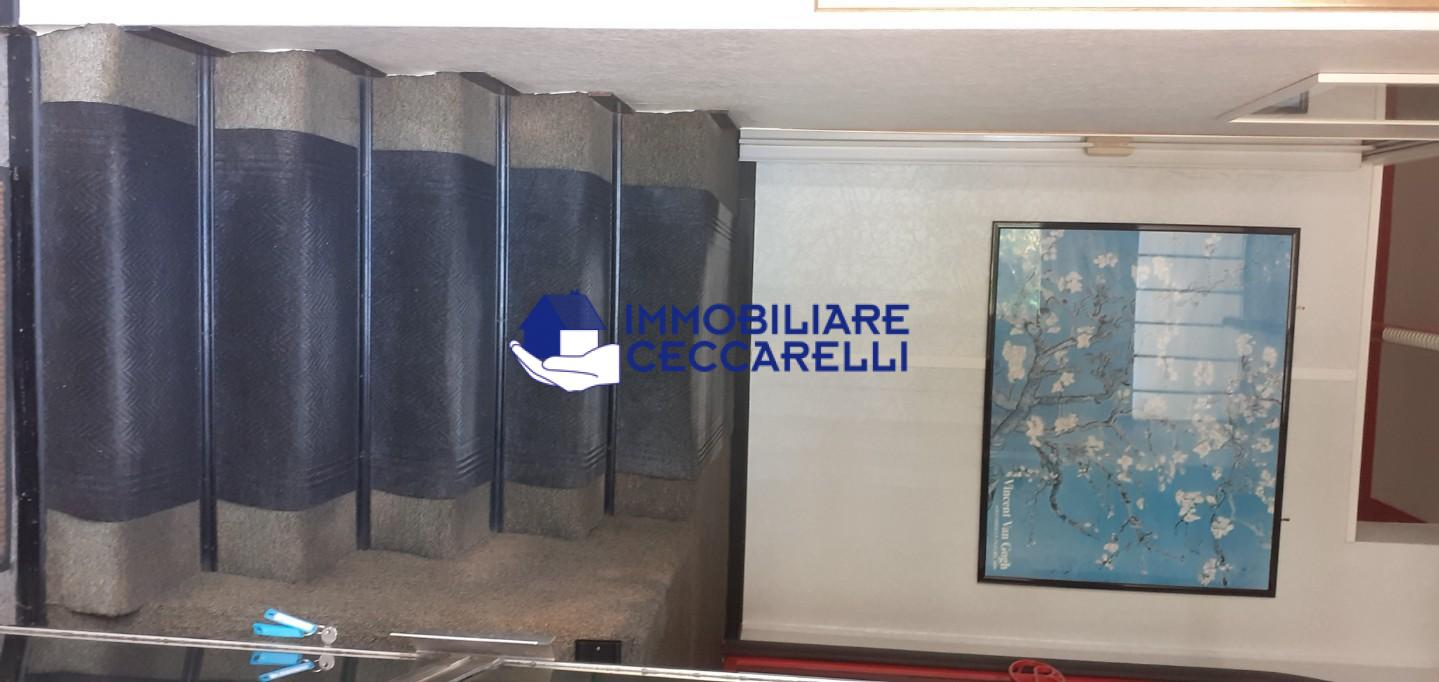 immagine annuncio 5 di 8