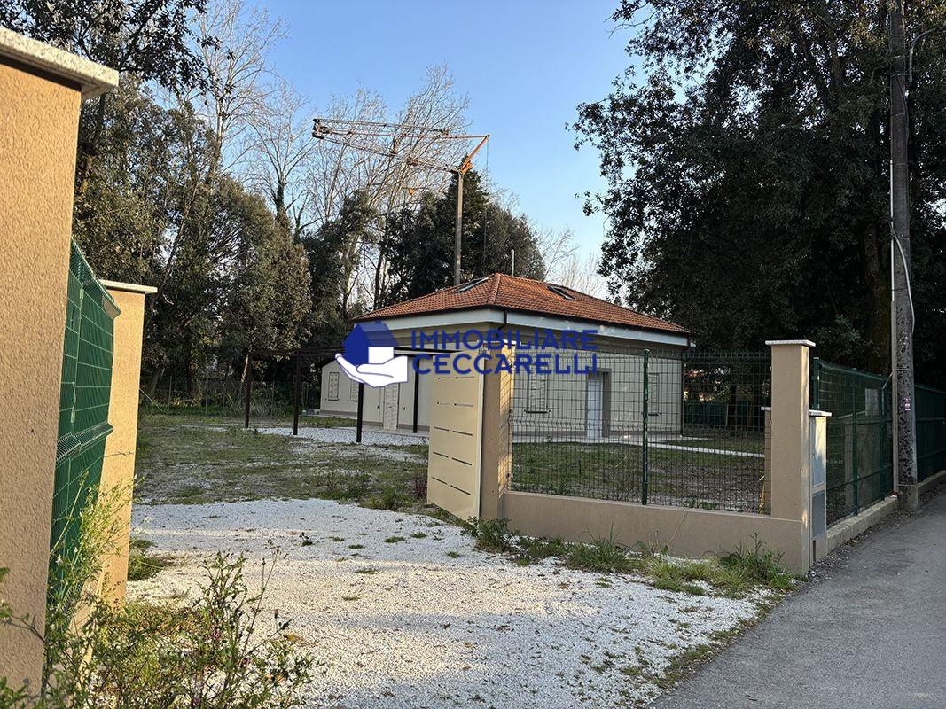 immagine annuncio 3 di 9