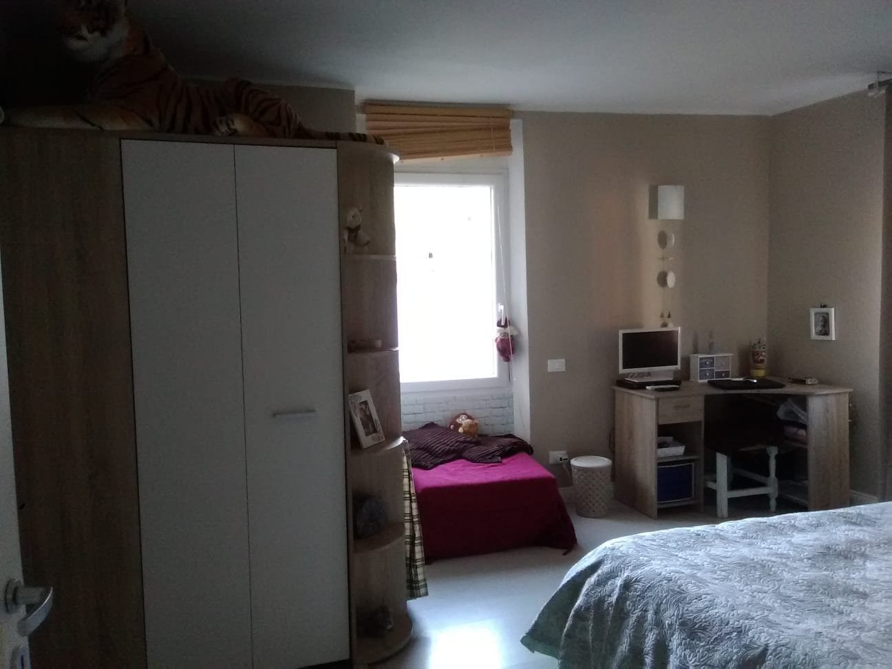 immagine annuncio 1 di 7