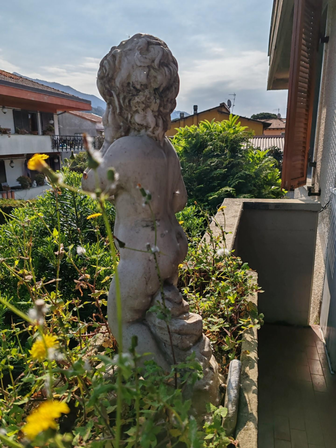immagine annuncio 1 di 9