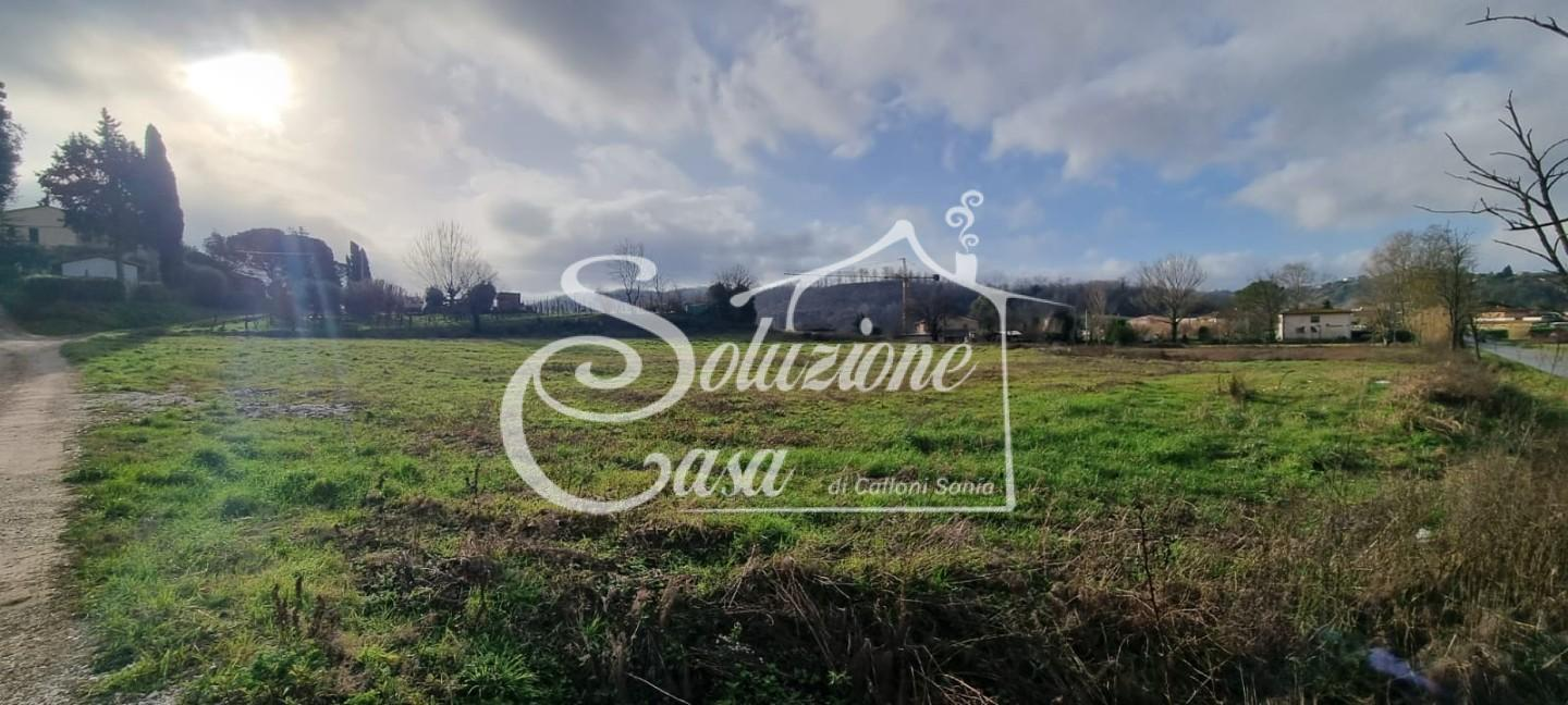 immagine annuncio 2 di 9