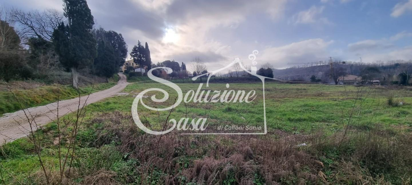 immagine annuncio 3 di 9