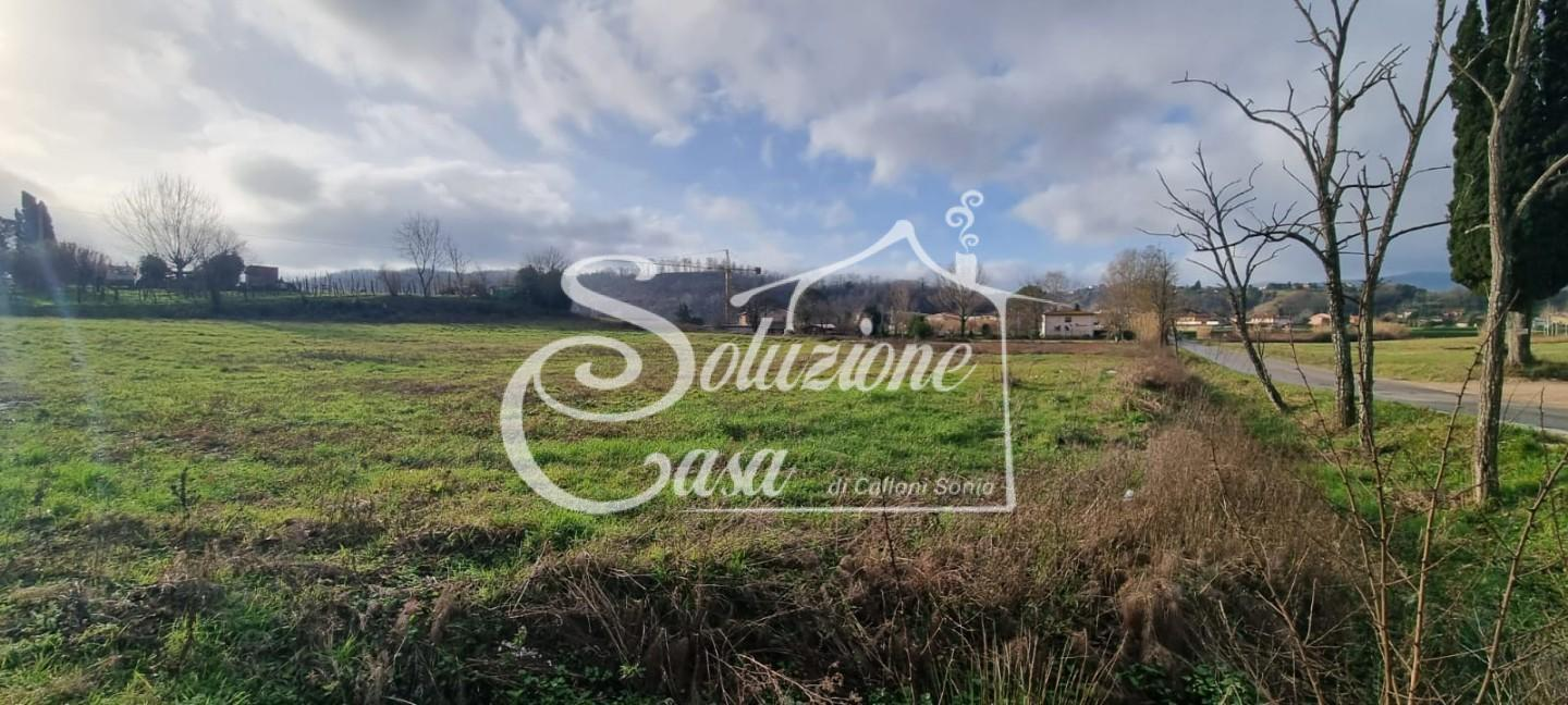 immagine annuncio 5 di 9