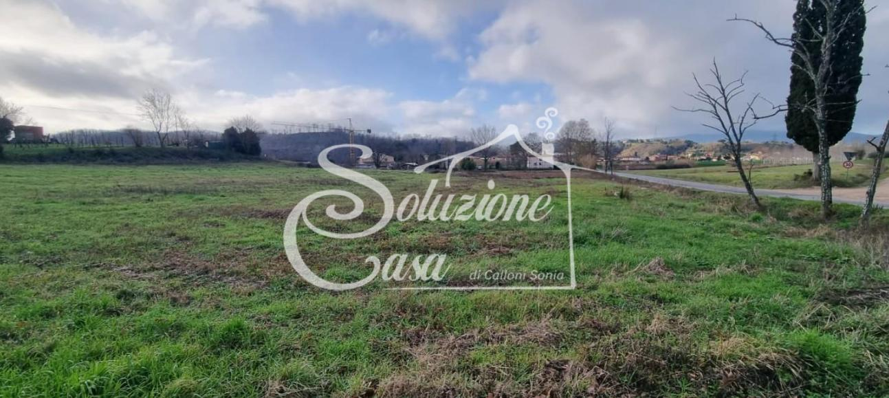 immagine annuncio 2 di 7