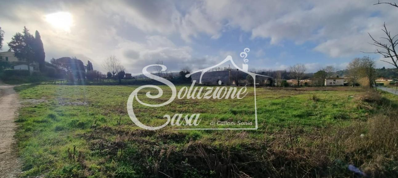 immagine annuncio 1 di 7