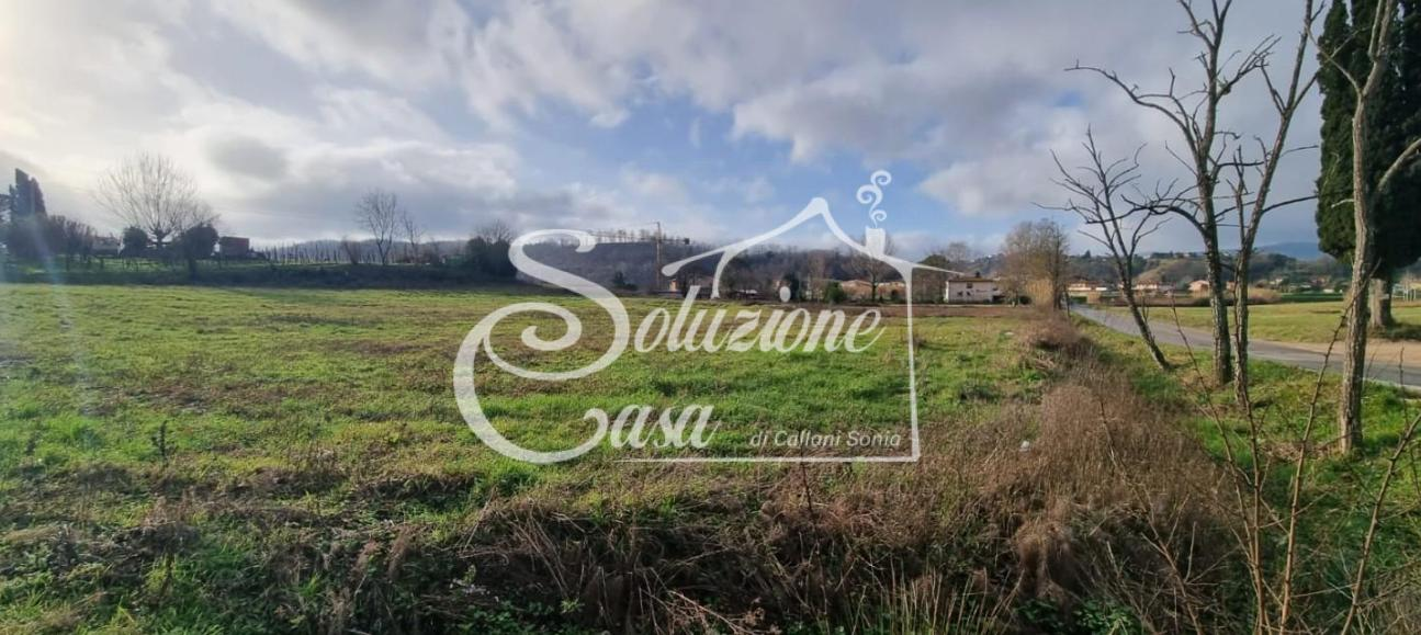 immagine annuncio 4 di 7