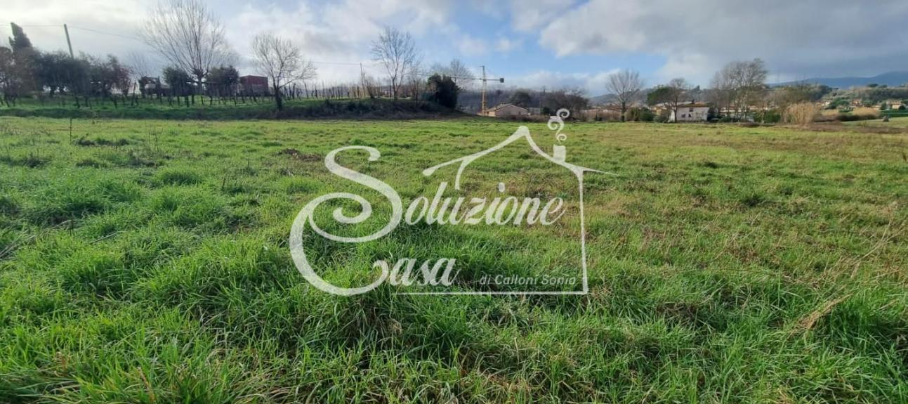 immagine annuncio 6 di 7