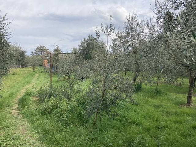 immagine annuncio 1 di 4