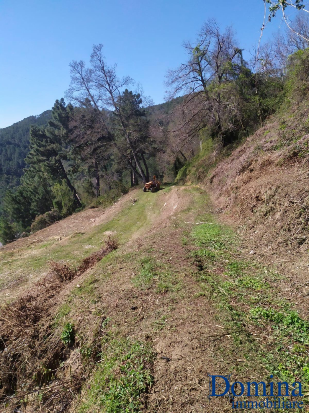 immagine annuncio 5 di 10