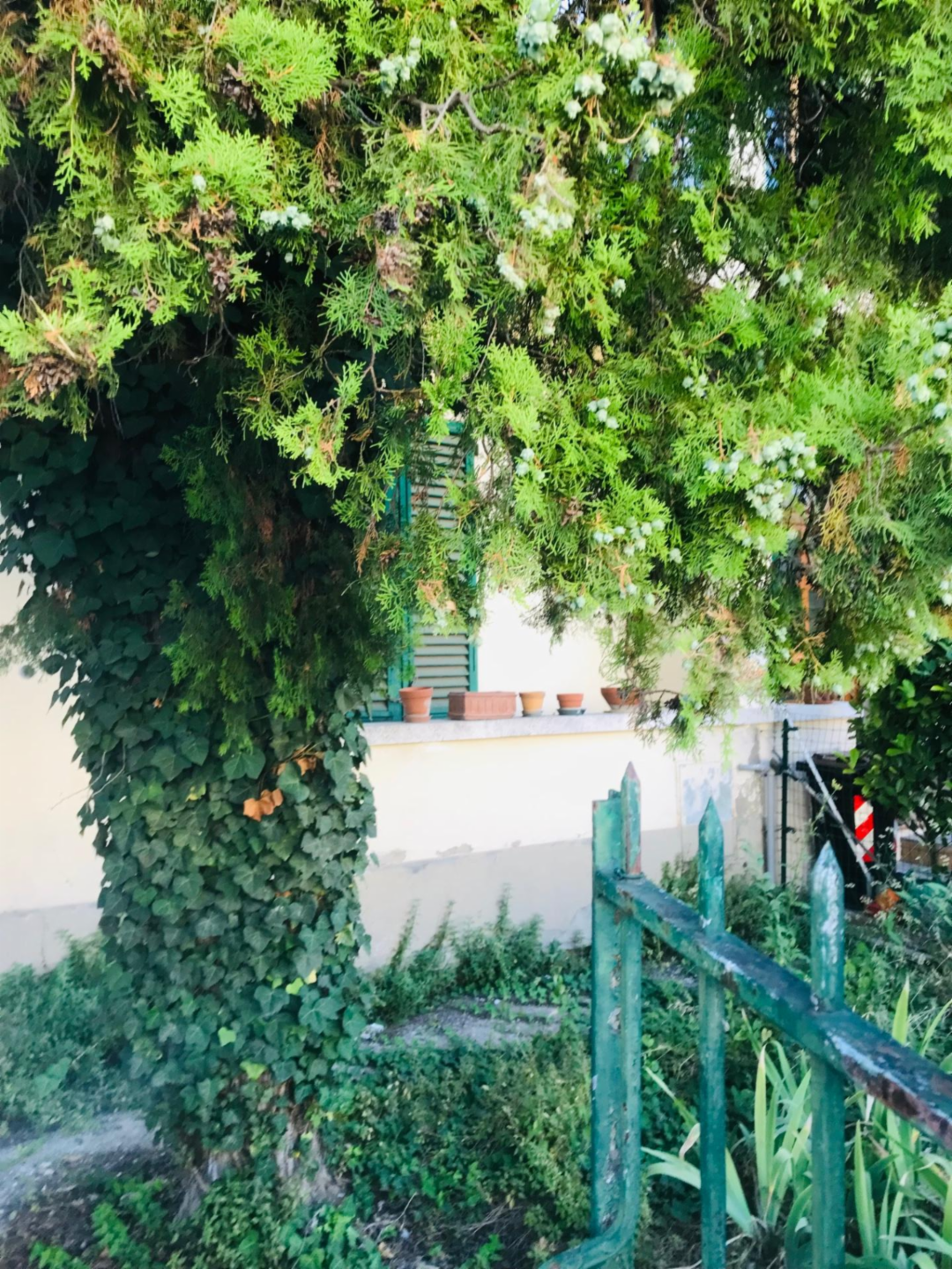 immagine annuncio 5 di 7