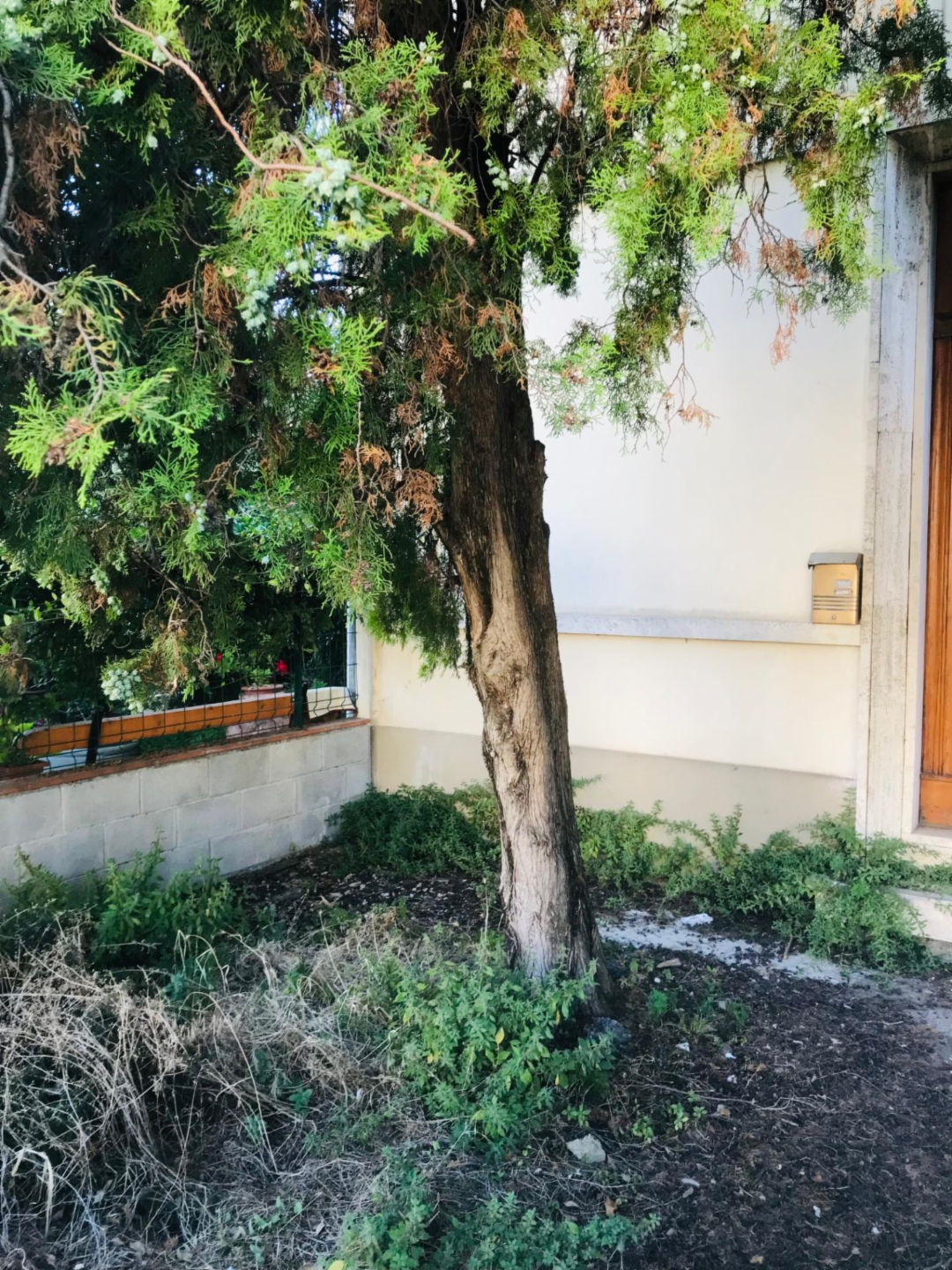 immagine annuncio 4 di 7