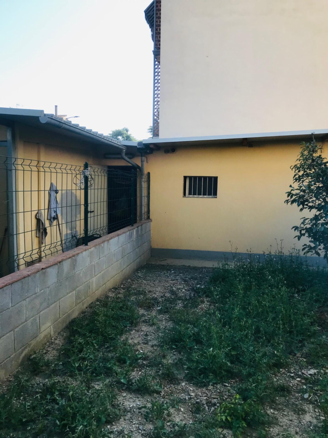 immagine annuncio 2 di 7