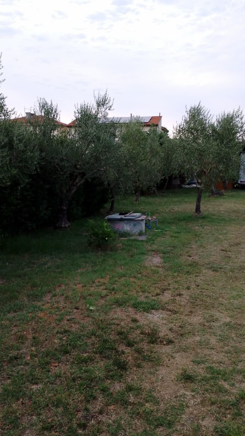 immagine annuncio 2 di 3