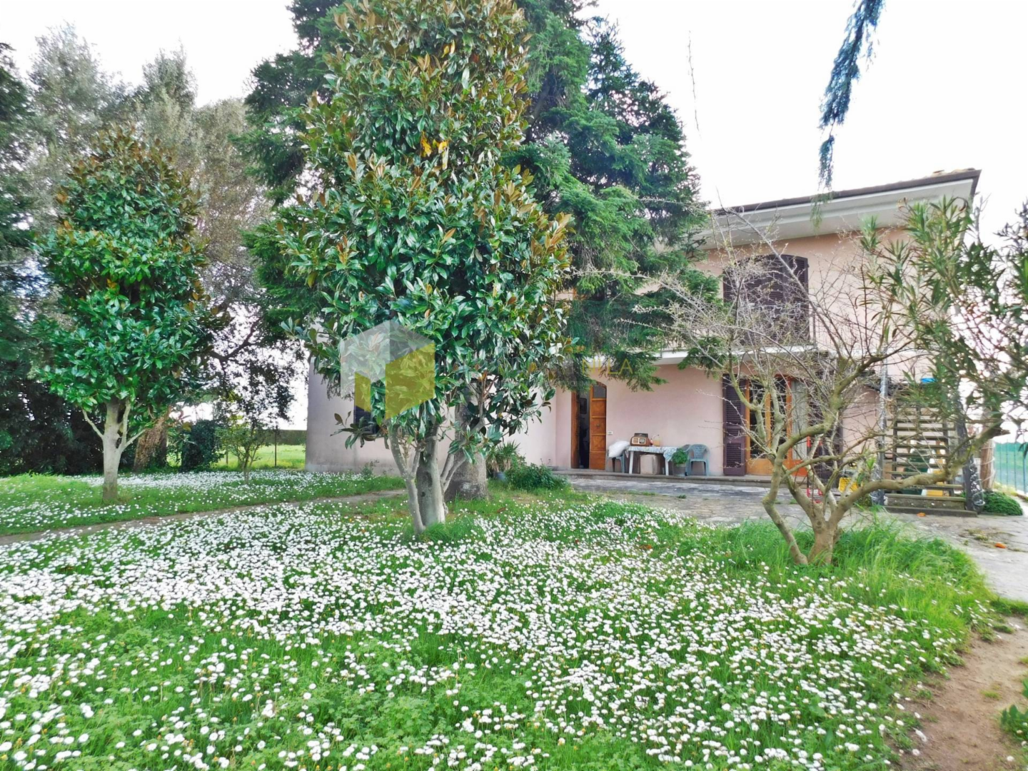 immagine annuncio 6 di 10