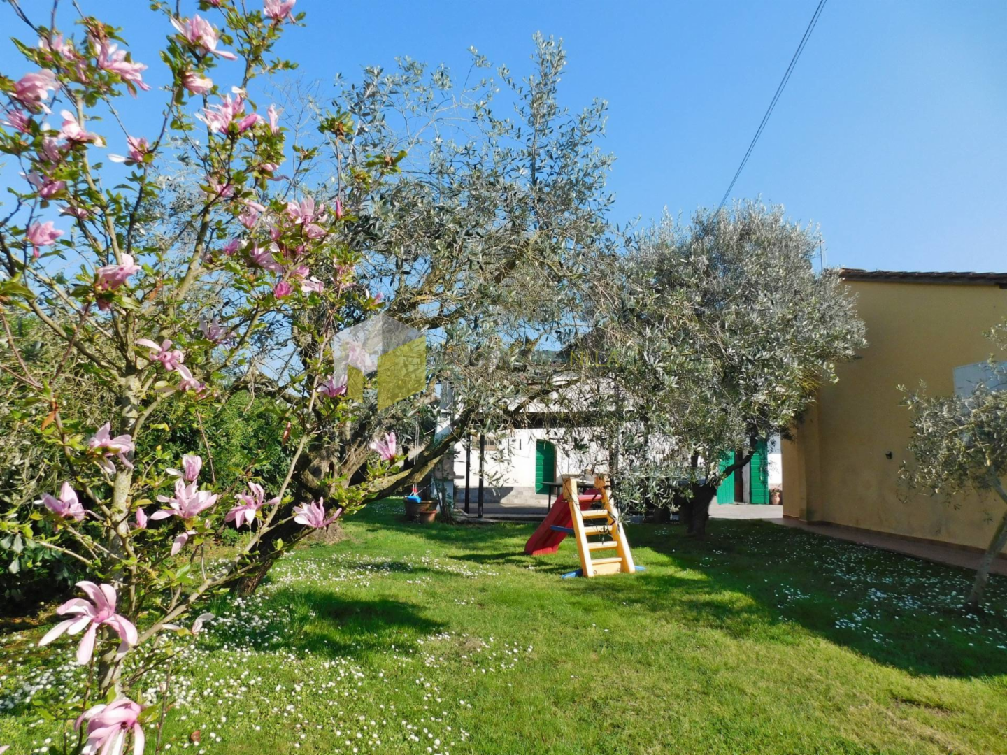 immagine annuncio 2 di 10