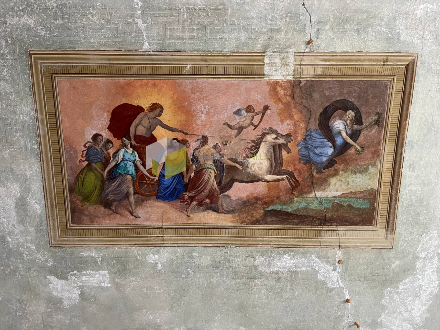 immagine annuncio 9 di 10