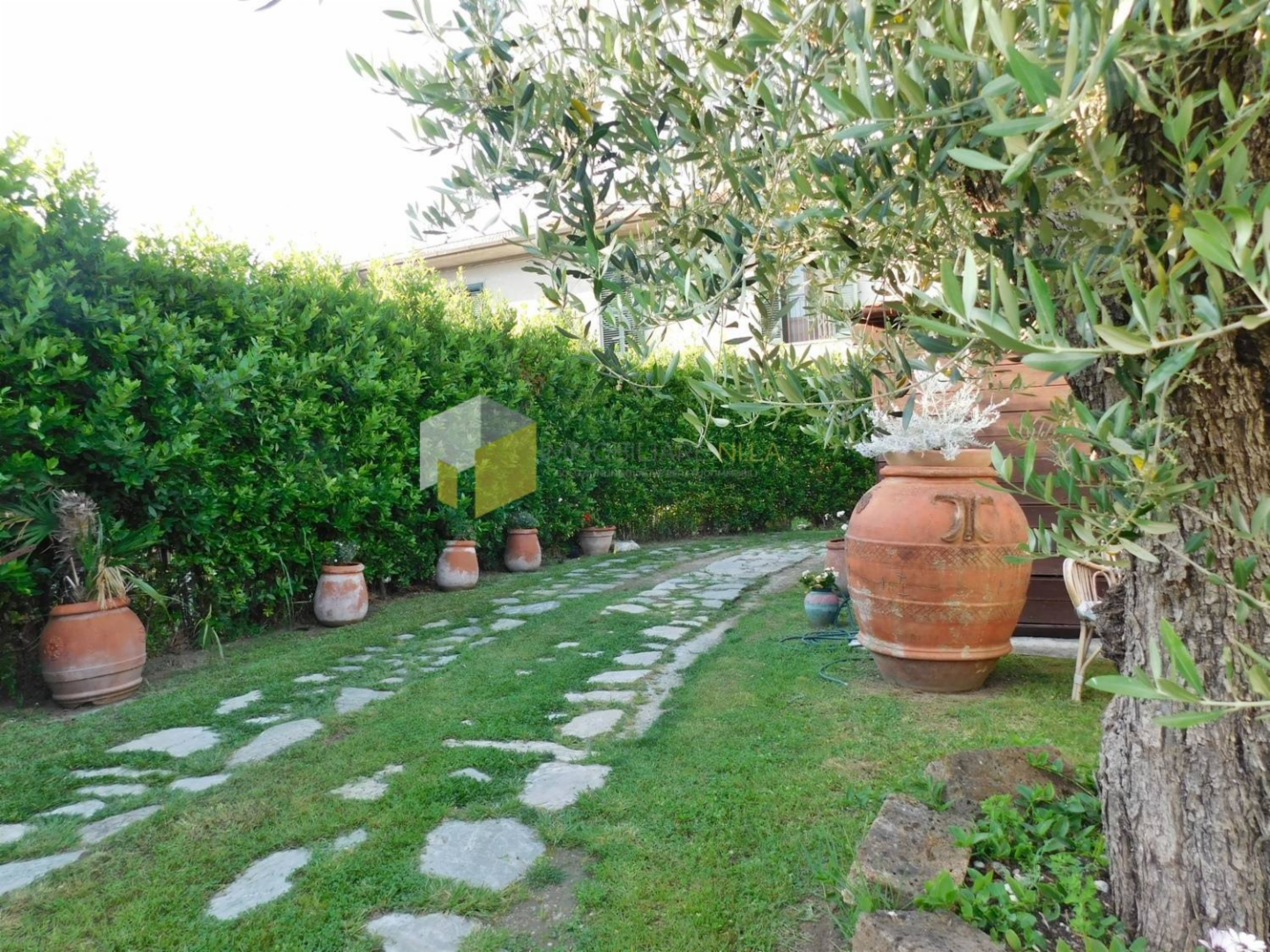 immagine annuncio 2 di 10