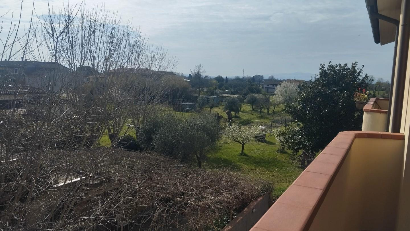 immagine annuncio 5 di 6