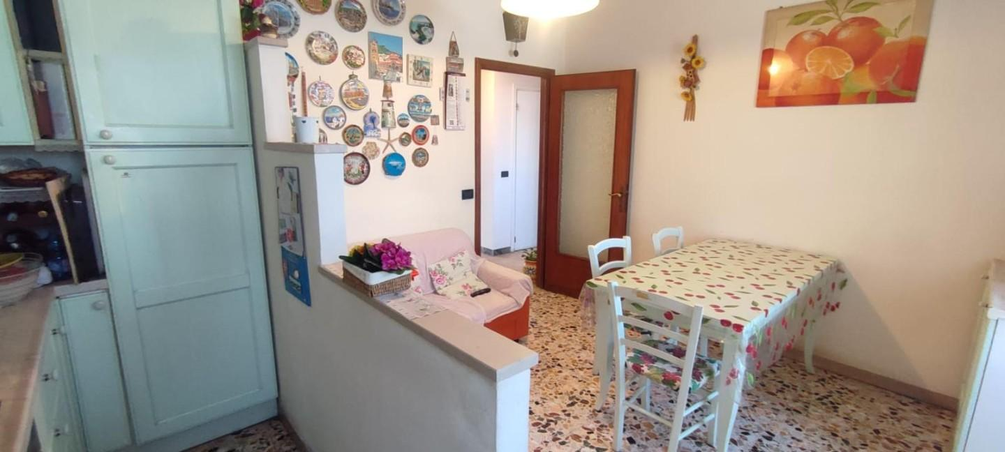 immagine annuncio 4 di 8