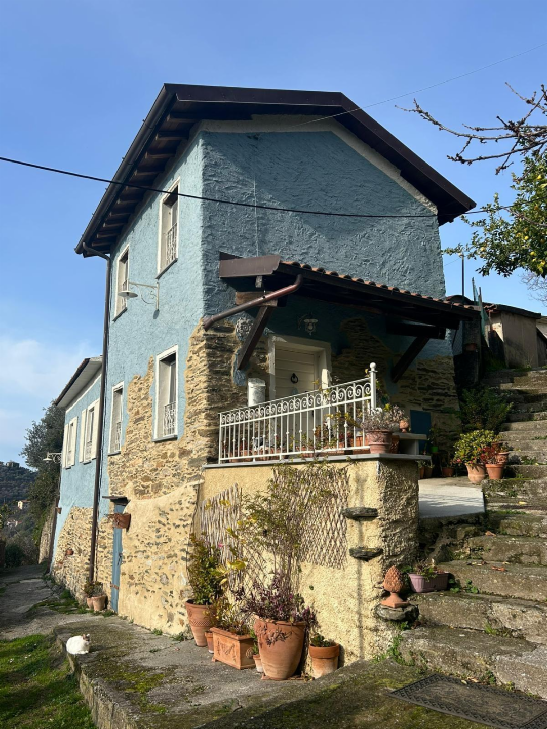 immagine annuncio 2 di 10