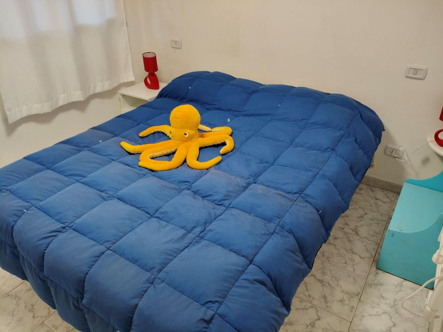 immagine annuncio 6 di 9