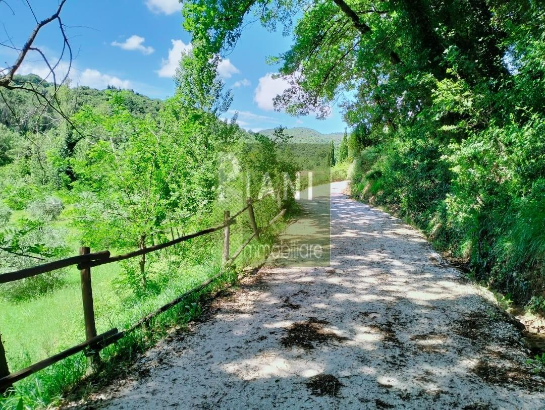 immagine annuncio 3 di 6