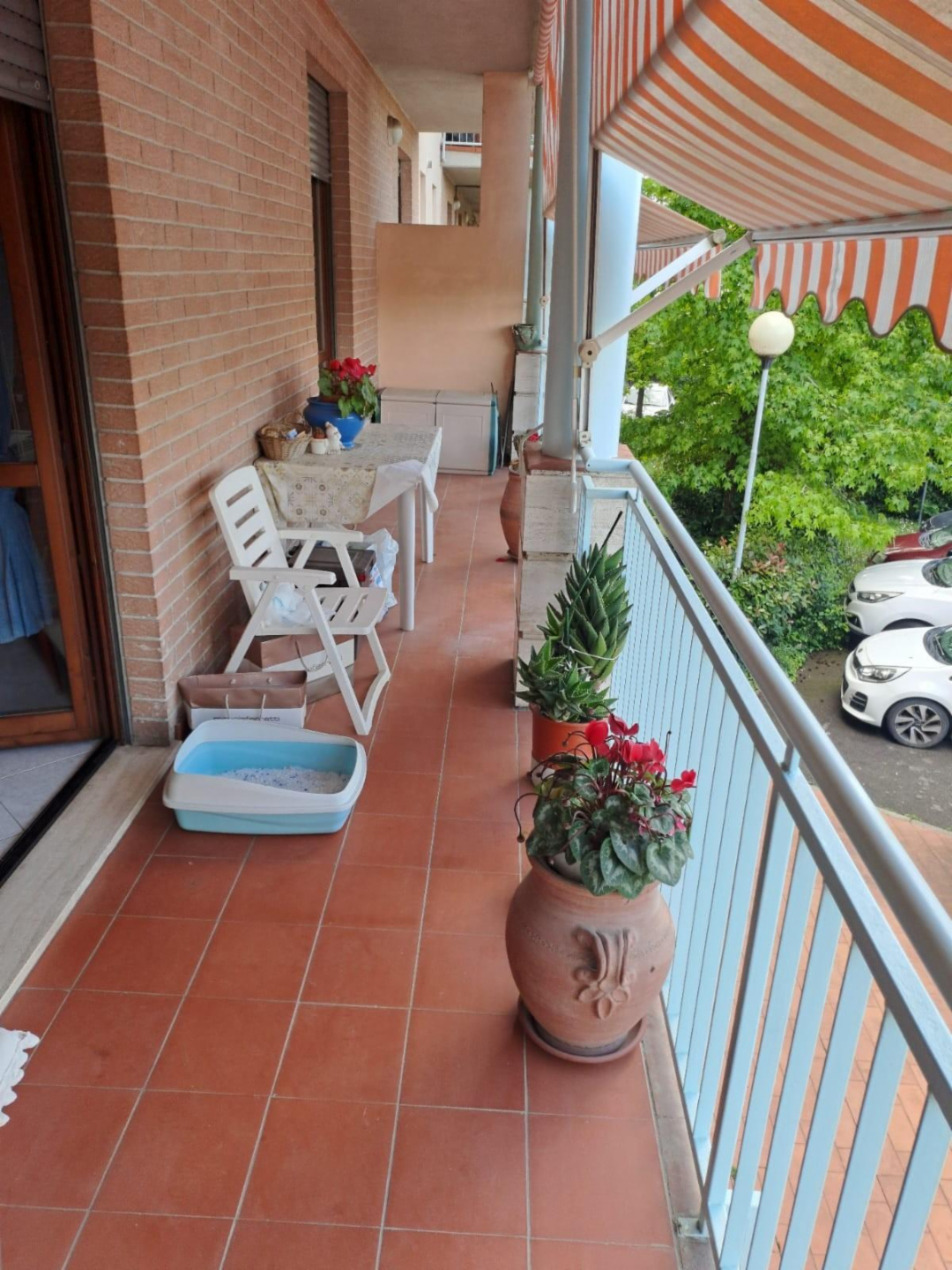 immagine annuncio 5 di 10