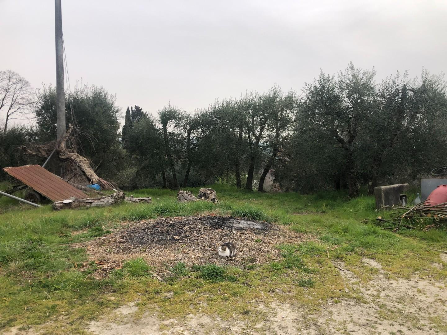 immagine annuncio 4 di 6