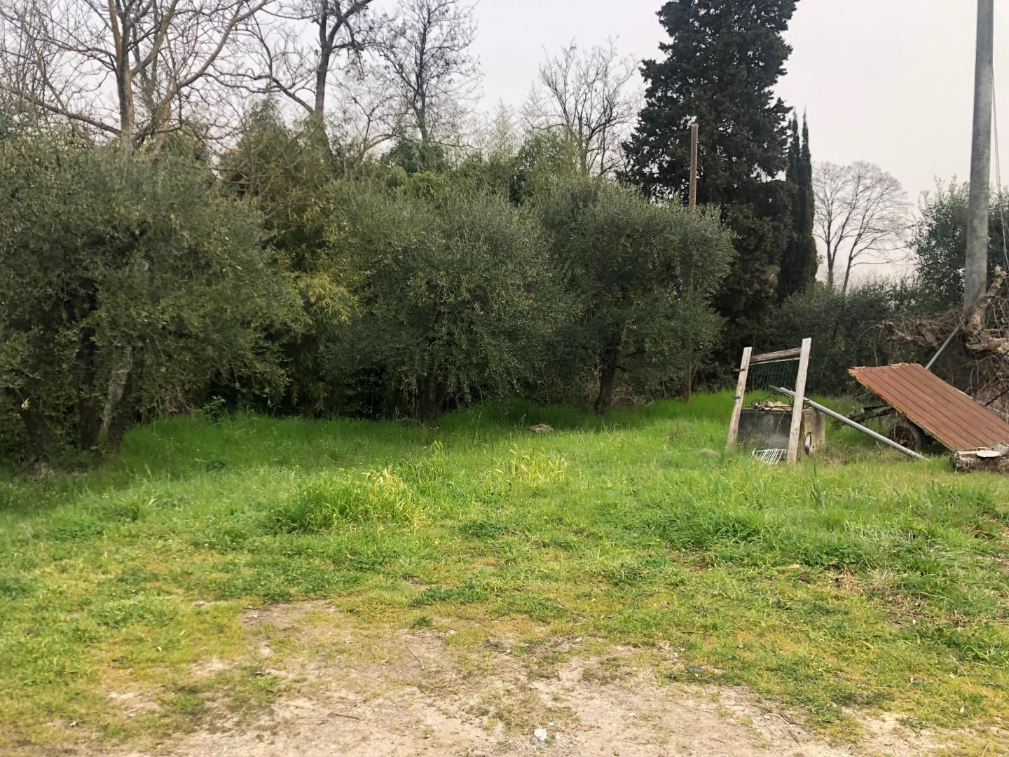 immagine annuncio 5 di 6