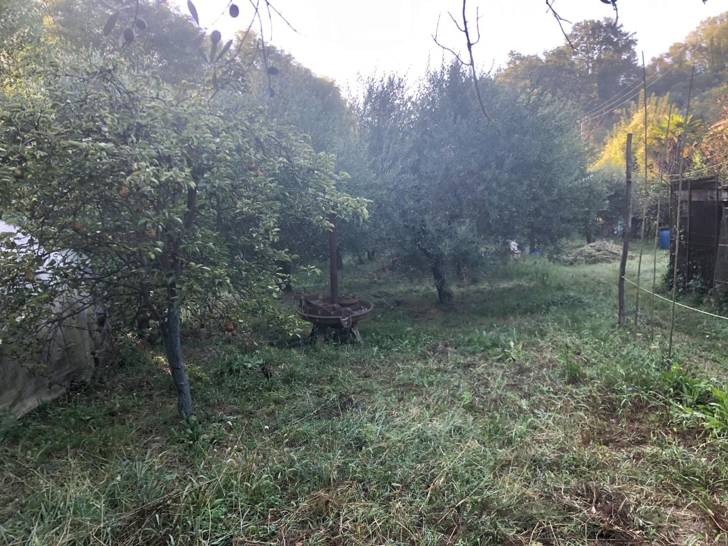 immagine annuncio 6 di 10