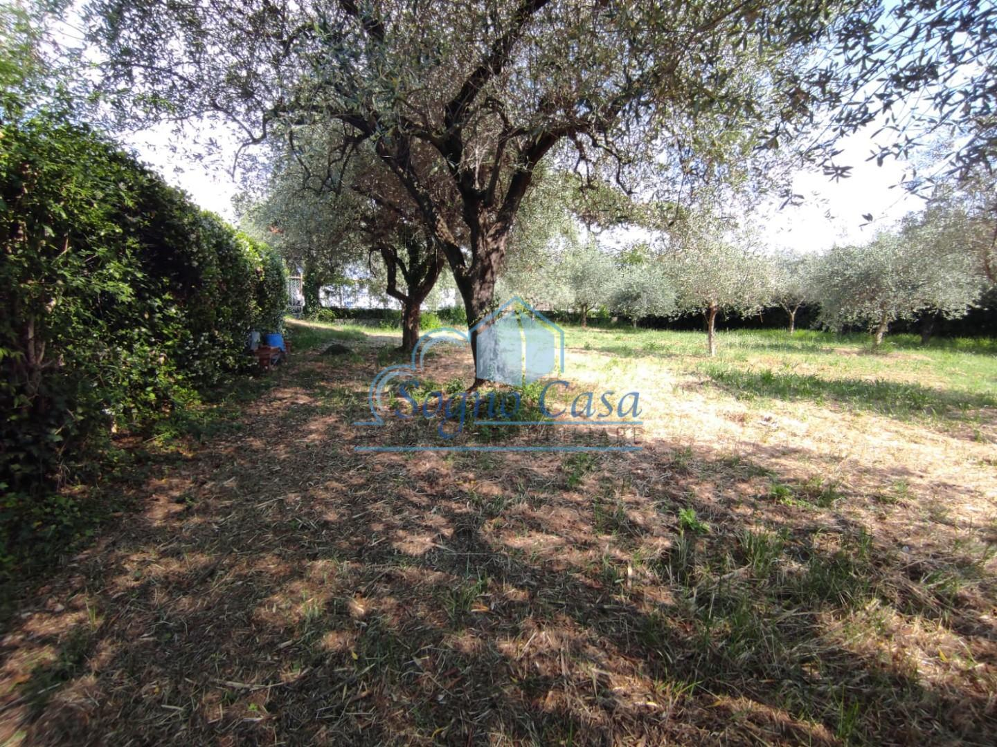 immagine annuncio 5 di 7