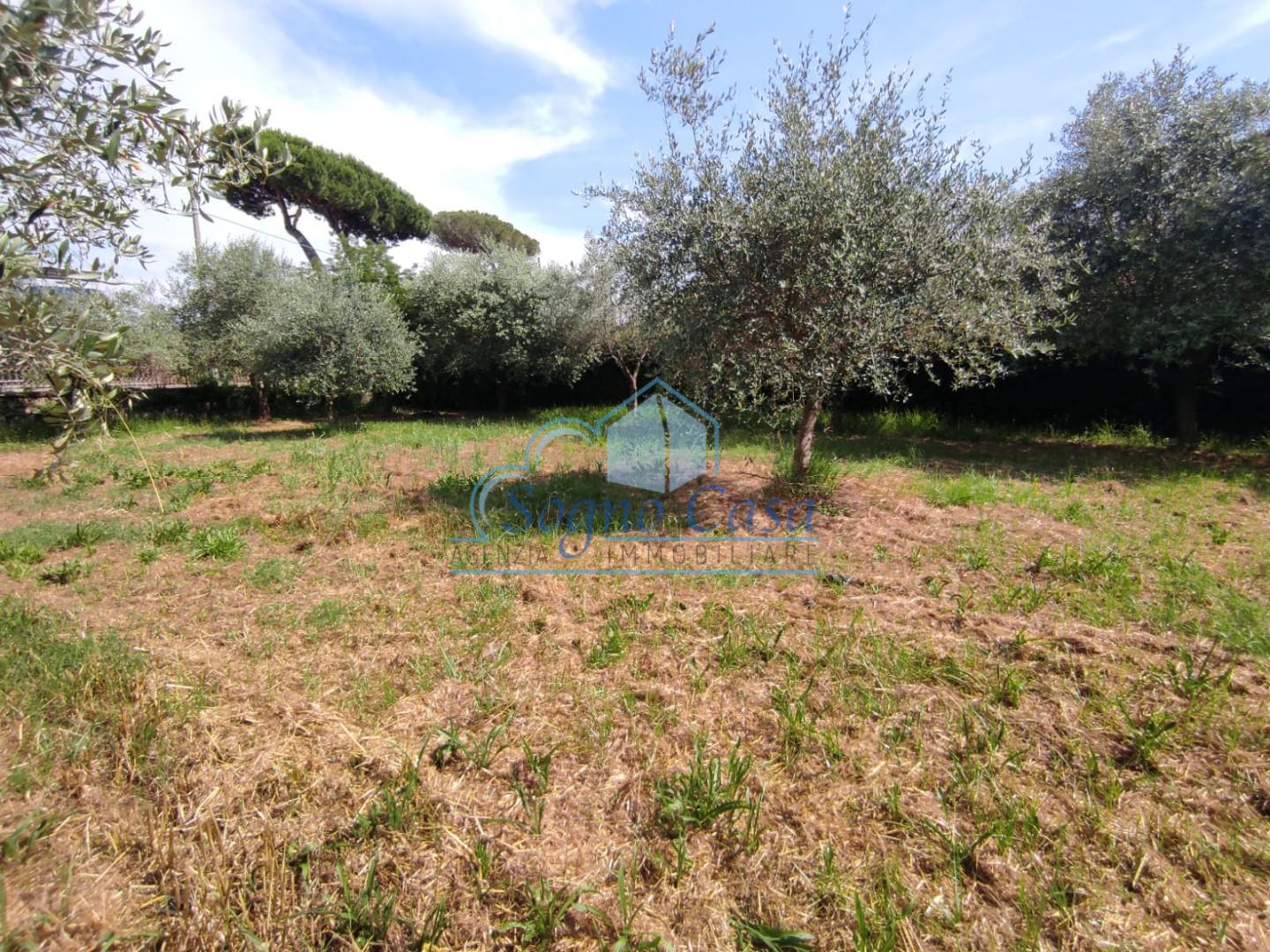 immagine annuncio 4 di 7