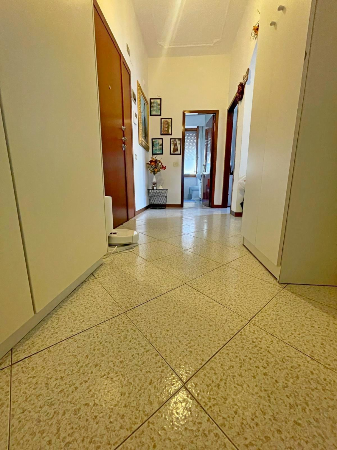 immagine annuncio 5 di 7