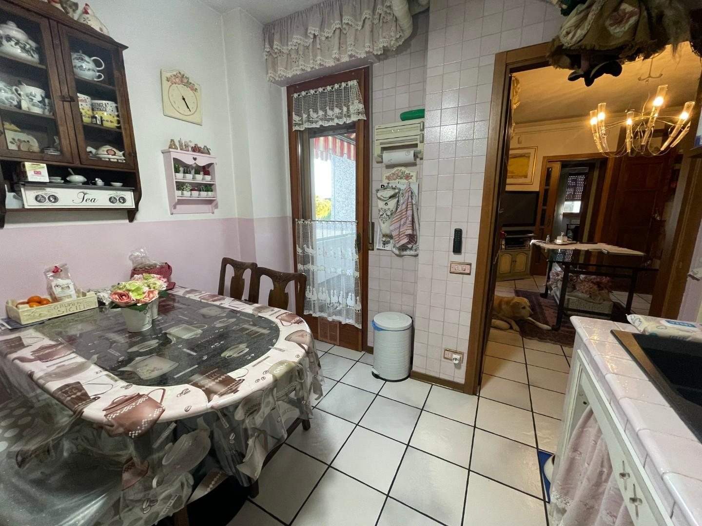 immagine annuncio 2 di 9