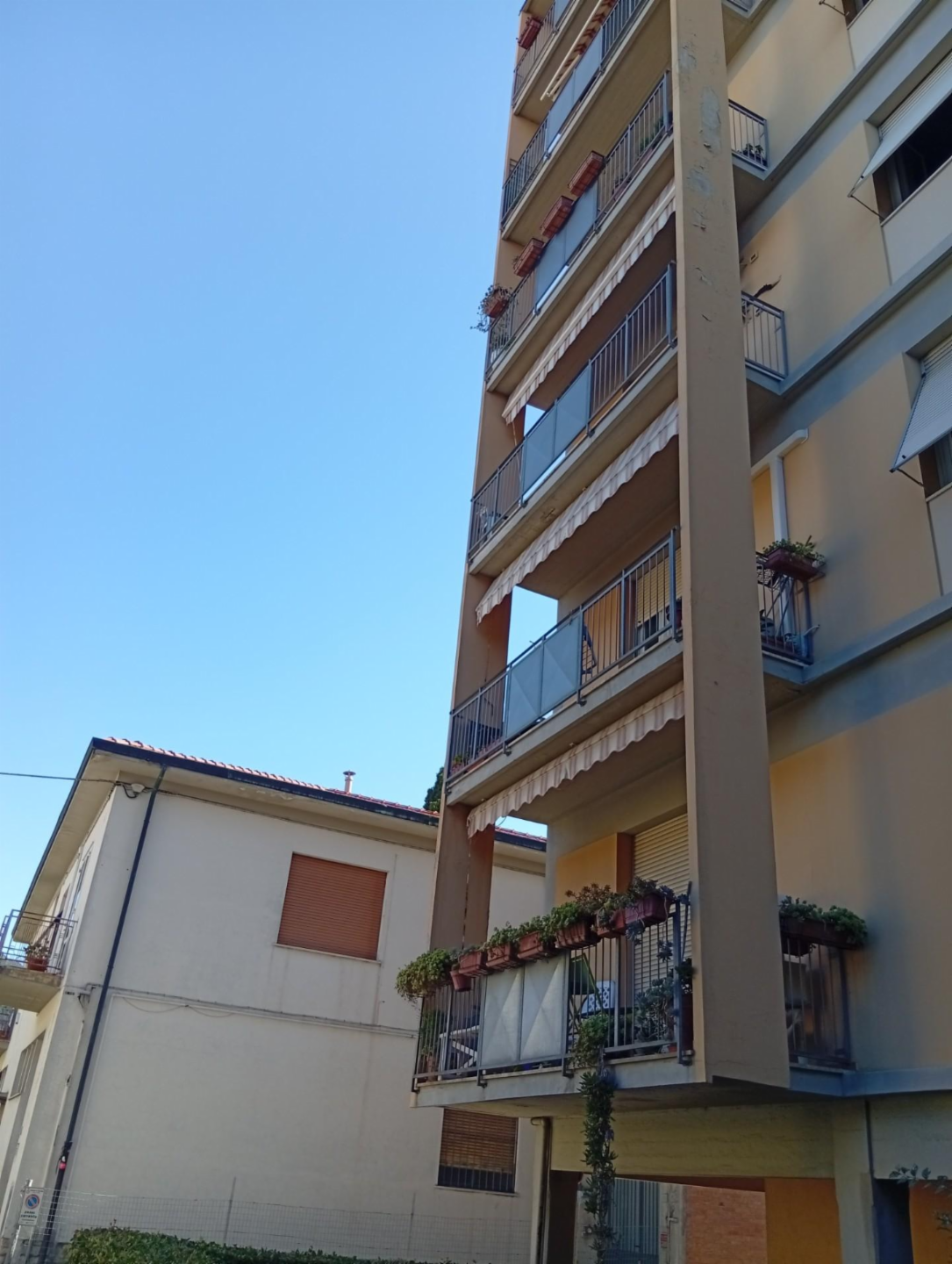 immagine annuncio 2 di 10