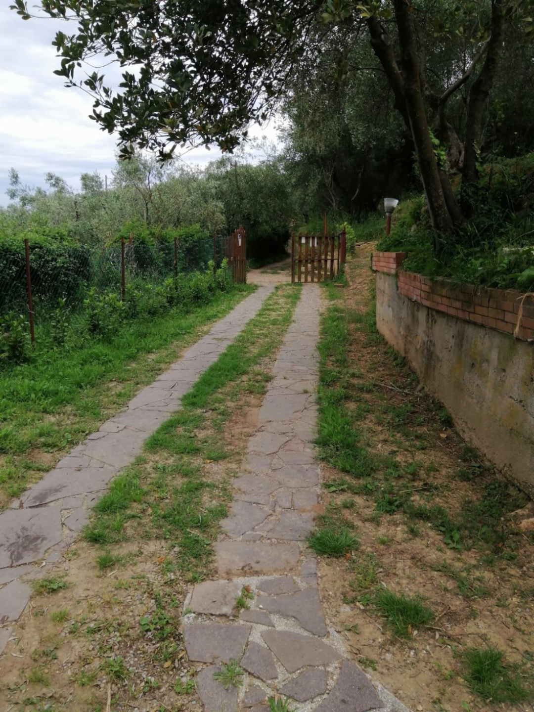 immagine annuncio 9 di 10