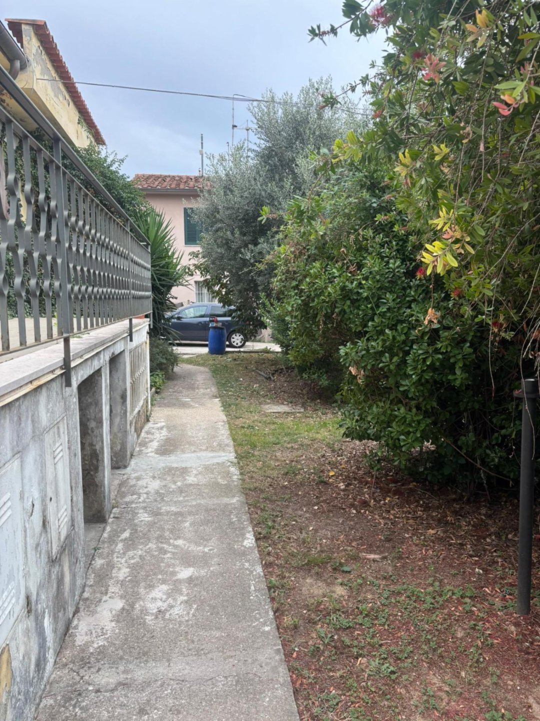 immagine annuncio 5 di 6