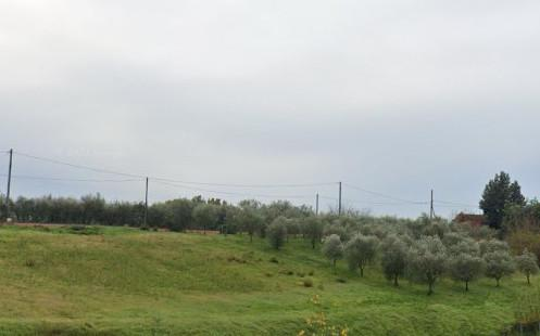 immagine annuncio 1 di 2