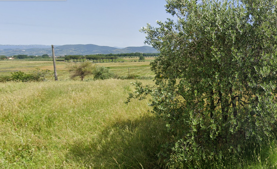 immagine annuncio 1 di 3