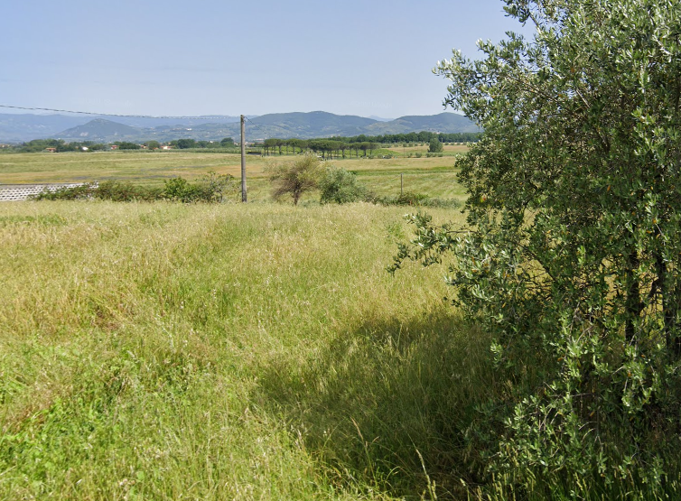 immagine annuncio 1 di 3