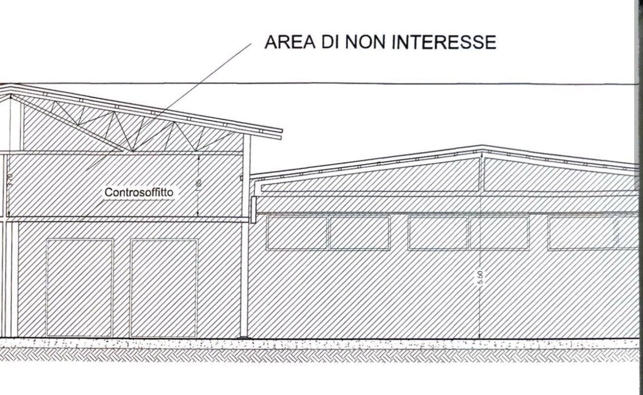 immagine annuncio 2 di 9