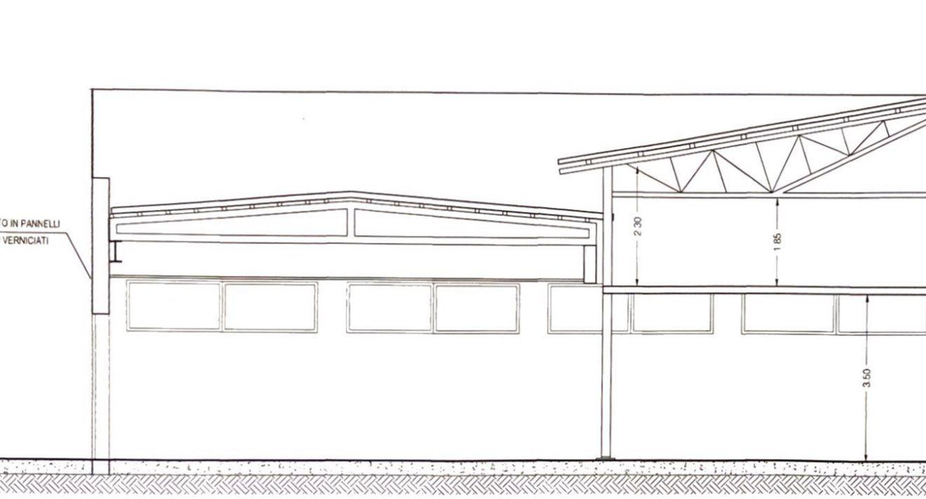 immagine annuncio 1 di 9